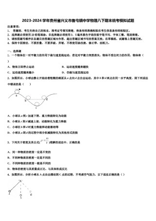 2023-2024学年贵州省兴义市鲁屯镇中学物理八下期末统考模拟试题含解析.doc