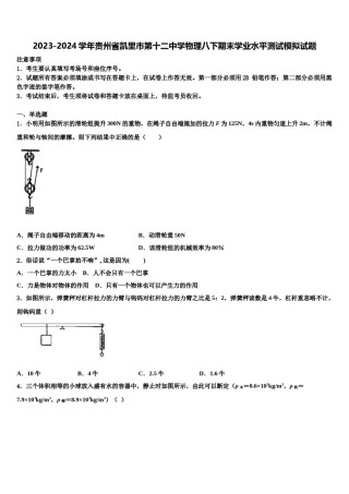 2023-2024学年贵州省凯里市第十二中学物理八下期末学业水平测试模拟试题含解析.doc
