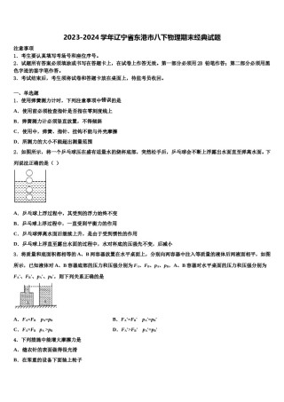 2023-2024学年辽宁省东港市八下物理期末经典试题含解析.doc