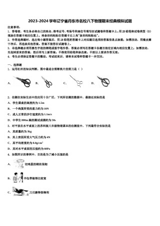 2023-2024学年辽宁省丹东市名校八下物理期末经典模拟试题含解析.doc