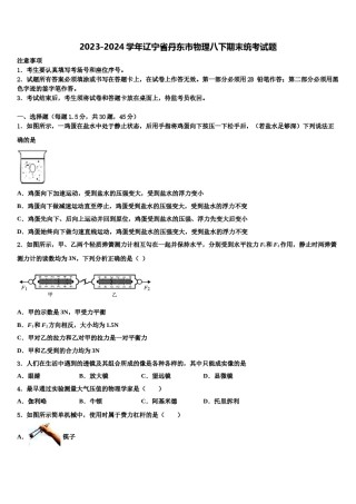 2023-2024学年辽宁省丹东市物理八下期末统考试题含解析.doc