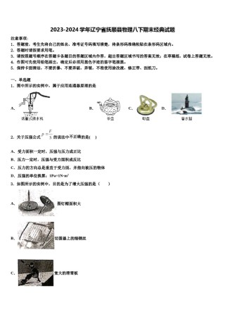 2023-2024学年辽宁省抚顺县物理八下期末经典试题含解析.doc