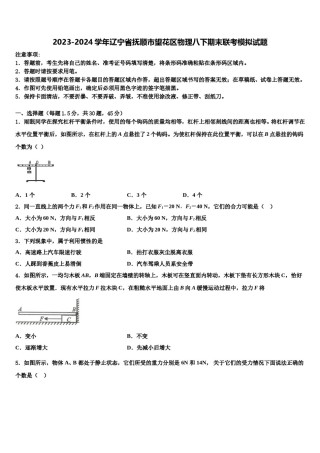 2023-2024学年辽宁省抚顺市望花区物理八下期末联考模拟试题含解析.doc