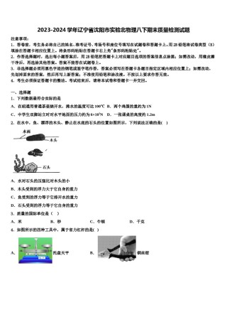 2023-2024学年辽宁省沈阳市实验北物理八下期末质量检测试题含解析.doc