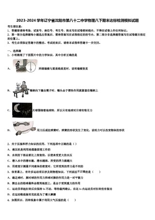 2023-2024学年辽宁省沈阳市第八十二中学物理八下期末达标检测模拟试题含解析.doc