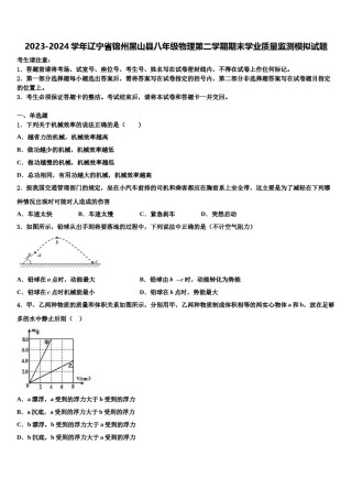 2023-2024学年辽宁省锦州黑山县八年级物理第二学期期末学业质量监测模拟试题含解析.doc