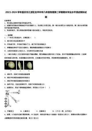 2023-2024学年重庆市江津区支坪中学八年级物理第二学期期末学业水平测试模拟试题含解析.doc