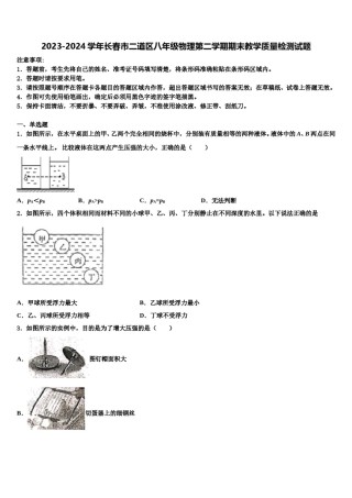 2023-2024学年长春市二道区八年级物理第二学期期末教学质量检测试题含解析.doc