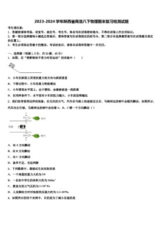2023-2024学年陕西省商洛八下物理期末复习检测试题含解析.doc
