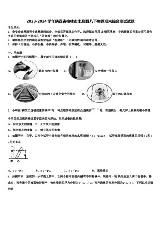 2023-2024学年陕西省榆林市米脂县八下物理期末综合测试试题含解析.doc