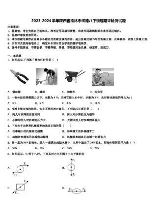 2023-2024学年陕西省榆林市绥德八下物理期末检测试题含解析.doc