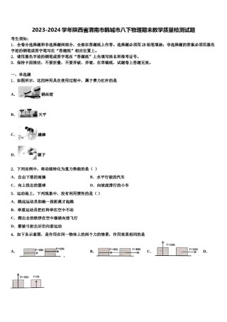 2023-2024学年陕西省渭南市韩城市八下物理期末教学质量检测试题含解析.doc
