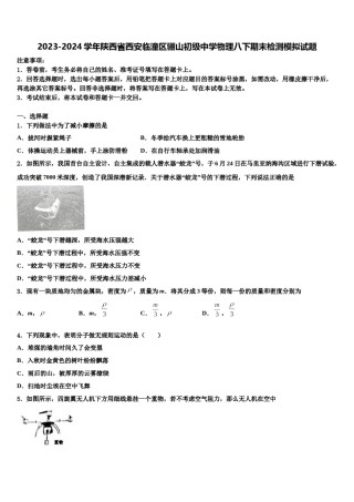 2023-2024学年陕西省西安临潼区骊山初级中学物理八下期末检测模拟试题含解析.doc