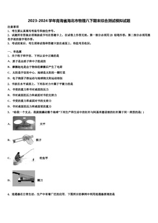 2023-2024学年青海省海北市物理八下期末综合测试模拟试题含解析.doc