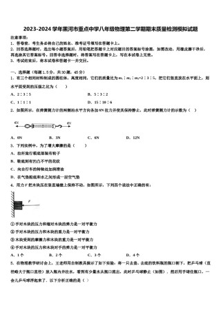 2023-2024学年黑河市重点中学八年级物理第二学期期末质量检测模拟试题含解析.doc