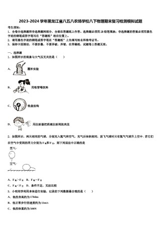 2023-2024学年黑龙江省八五八农场学校八下物理期末复习检测模拟试题含解析.doc