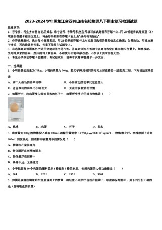 2023-2024学年黑龙江省双鸭山市名校物理八下期末复习检测试题含解析.doc