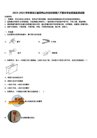 2023-2024学年黑龙江省双鸭山市名校物理八下期末学业质量监测试题含解析.doc