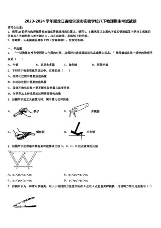 2023-2024学年黑龙江省哈尔滨市实验学校八下物理期末考试试题含解析.doc