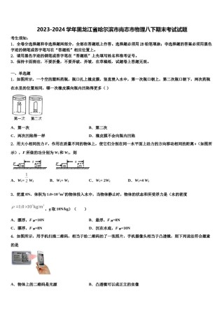 2023-2024学年黑龙江省哈尔滨市尚志市物理八下期末考试试题含解析.doc