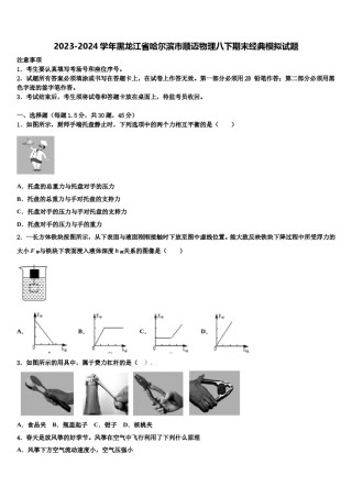2023-2024学年黑龙江省哈尔滨市顺迈物理八下期末经典模拟试题含解析.doc