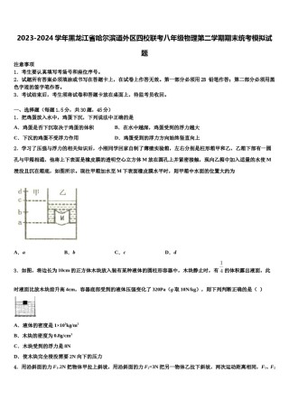 2023-2024学年黑龙江省哈尔滨道外区四校联考八年级物理第二学期期末统考模拟试题含解析.doc