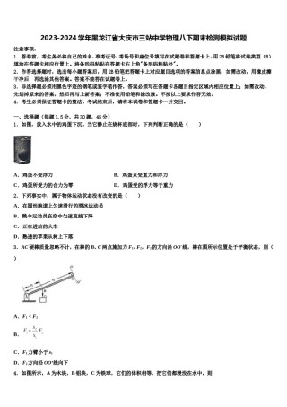 2023-2024学年黑龙江省大庆市三站中学物理八下期末检测模拟试题含解析.doc