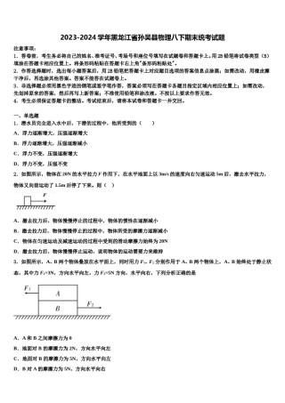 2023-2024学年黑龙江省孙吴县物理八下期末统考试题含解析.doc