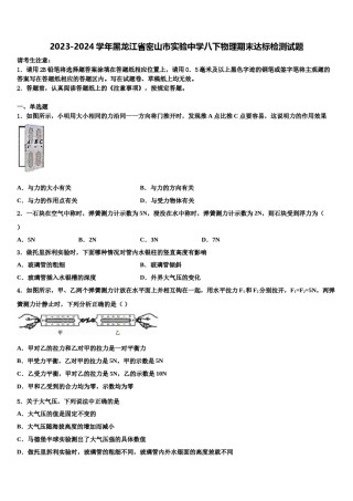 2023-2024学年黑龙江省密山市实验中学八下物理期末达标检测试题含解析.doc