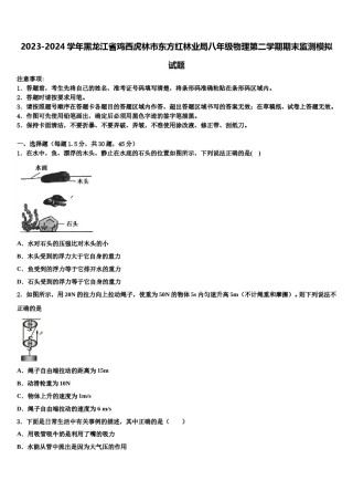 2023-2024学年黑龙江省鸡西虎林市东方红林业局八年级物理第二学期期末监测模拟试题含解析.doc