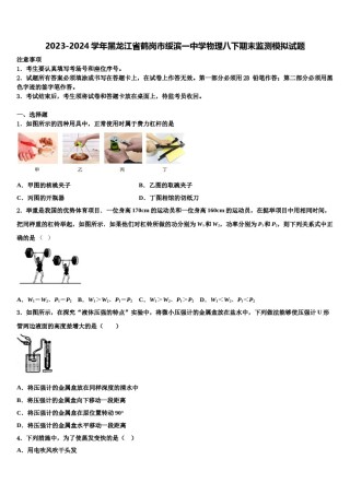 2023-2024学年黑龙江省鹤岗市绥滨一中学物理八下期末监测模拟试题含解析.doc