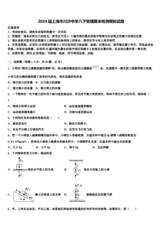 2024届上海市川沙中学八下物理期末检测模拟试题含解析.doc