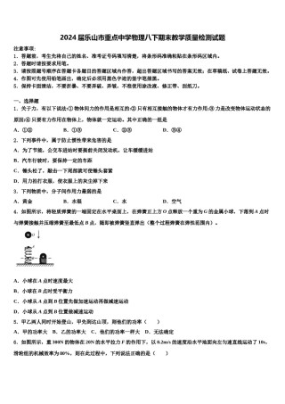 2024届乐山市重点中学物理八下期末教学质量检测试题含解析.doc