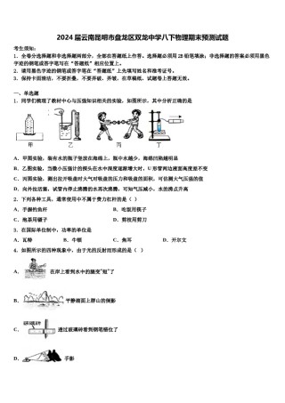 2024届云南昆明市盘龙区双龙中学八下物理期末预测试题含解析.doc