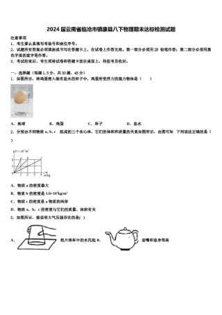2024届云南省临沧市镇康县八下物理期末达标检测试题含解析.doc