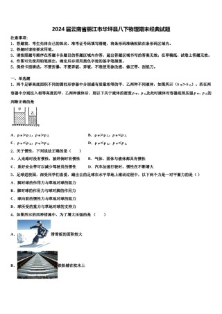 2024届云南省丽江市华坪县八下物理期末经典试题含解析.doc