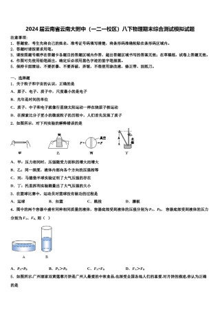 2024届云南省云南大附中（一二一校区）八下物理期末综合测试模拟试题含解析.doc