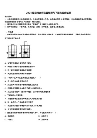 2024届云南省师宗县物理八下期末经典试题含解析.doc