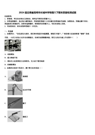 2024届云南省昆明市长城中学物理八下期末质量检测试题含解析.doc