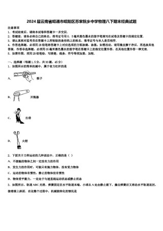 2024届云南省昭通市昭阳区苏家院乡中学物理八下期末经典试题含解析.doc
