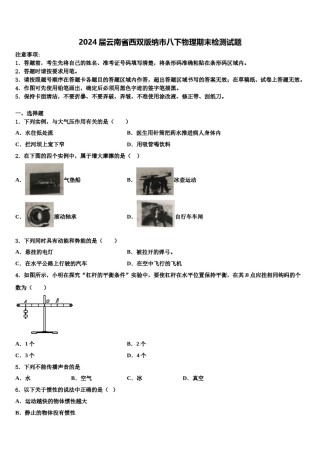 2024届云南省西双版纳市八下物理期末检测试题含解析.doc