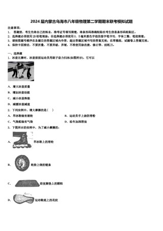 2024届内蒙古乌海市八年级物理第二学期期末联考模拟试题含解析.doc