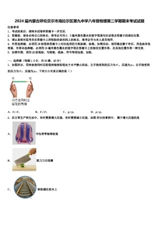2024届内蒙古呼伦贝尔市海拉尔区第九中学八年级物理第二学期期末考试试题含解析.doc
