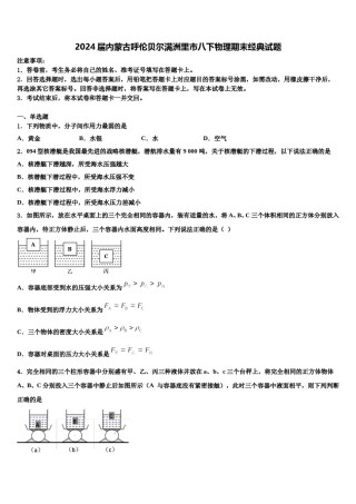 2024届内蒙古呼伦贝尔满洲里市八下物理期末经典试题含解析.doc