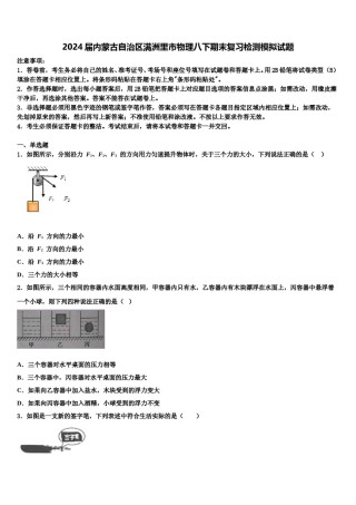 2024届内蒙古自治区满洲里市物理八下期末复习检测模拟试题含解析.doc