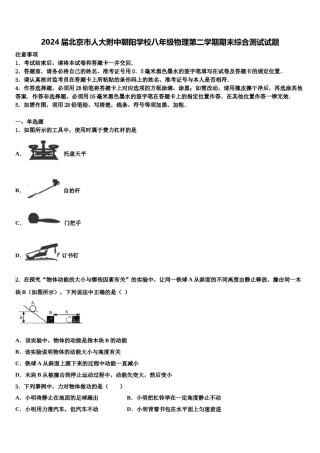 2024届北京市人大附中朝阳学校八年级物理第二学期期末综合测试试题含解析.doc