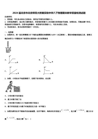 2024届北京市北京师范大附属实验中学八下物理期末教学质量检测试题含解析.doc
