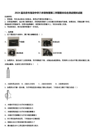 2024届北京市海淀中学八年级物理第二学期期末综合测试模拟试题含解析.doc