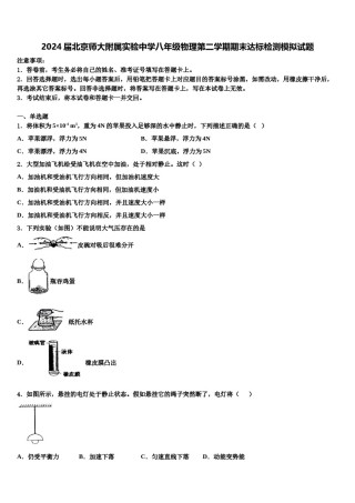 2024届北京师大附属实验中学八年级物理第二学期期末达标检测模拟试题含解析.doc