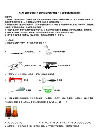 2024届北京朝阳人大附朝阳分校物理八下期末检测模拟试题含解析.doc